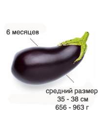 6 месяцев.jpg